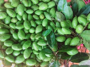 Dịch Vụ Vận Chuyển Cà Na Đặc Sản – An Giang Logistics: Giòn Ngon Chuẩn Vị, Tươi Màu Xanh Mướt