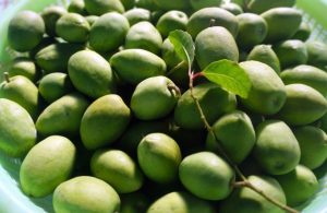 Dịch Vụ Vận Chuyển Cà Na Đặc Sản – An Giang Logistics: Giòn Ngon Chuẩn Vị, Tươi Màu Xanh Mướt