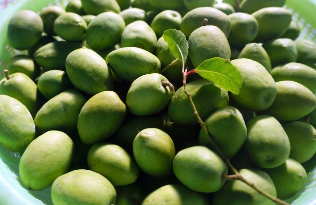 Dịch Vụ Vận Chuyển Cà Na Đặc Sản – An Giang Logistics: Giòn Ngon Chuẩn Vị, Tươi Màu Xanh Mướt