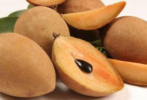 Dịch Vụ Vận Chuyển Sapoche Hỏa Tốc – An Giang Logistics: Cát Mịn Ngọt Thơm, Vẹn Nguyên Vị Đất