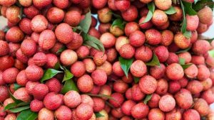 Dịch Vụ Vận Chuyển Vải Thiều Hỏa Tốc – An Giang Logistics: Đỏ Rực Tươi Ngon, Giữ Trọn Vị Ngọt