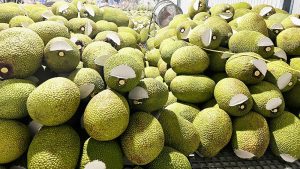 Dịch Vụ Vận Chuyển Mít Hỏa Tốc – An Giang Logistics: Mít Ngọt Tới Tay, Không Lo Nứt Vỏ