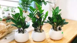 Dịch Vụ Vận Chuyển Kim Tiền & Kim Ngân – An Giang Logistics: Mang Tài Đến Nhà, Dẫn Lộc Vào Kho