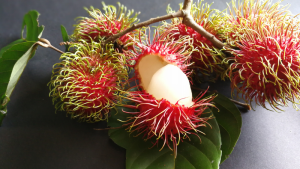 Vận Chuyển Chôm Chôm Hỏa Tốc – An Giang Logistics: Râu Xanh, Vỏ Đỏ, Tươi Ngon Tận Gốc