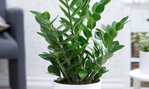 Dịch Vụ Vận Chuyển Kim Tiền & Kim Ngân – An Giang Logistics: Mang Tài Đến Nhà, Dẫn Lộc Vào Kho