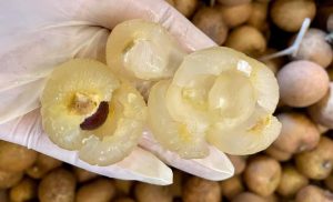 Vận Chuyển Nhãn Hỏa Tốc – An Giang Logistics: Trái To Cơm Vàng, Thơm Nồng Vị Ngọt