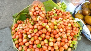 Dịch Vụ Vận Chuyển Sơ Ri Hỏa Tốc – An Giang Logistics: Đỏ Mọng Từng Trái, Nguyên Vẹn Tận Tay