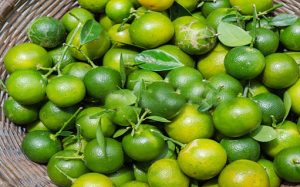 Vận Chuyển Trái Tắc (Quất) Hỏa Tốc – An Giang Logistics: Tươi Xanh Mọng Nước, Chở Tết Về Phố