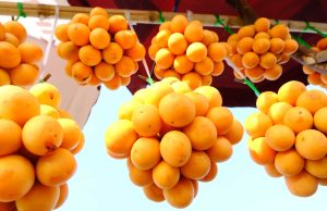 Vận Chuyển Thanh Trà Bảy Núi – An Giang Logistics: Vàng Óng Mượt Mà, Thơm Lừng Vị Núi