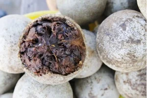 Dịch Vụ Vận Chuyển Trái Quách Hỏa Tốc – An Giang Logistics: Đặc Sản Độc Lạ, Thơm Ngon Chuẩn Vị