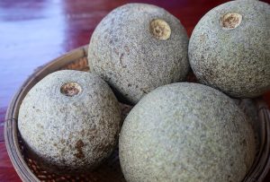 Dịch Vụ Vận Chuyển Trái Quách Hỏa Tốc – An Giang Logistics: Đặc Sản Độc Lạ, Thơm Ngon Chuẩn Vị