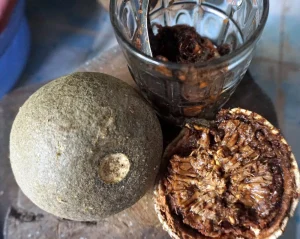 Dịch Vụ Vận Chuyển Trái Quách Hỏa Tốc – An Giang Logistics: Đặc Sản Độc Lạ, Thơm Ngon Chuẩn Vị