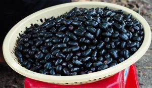 Dịch Vụ Vận Chuyển Trái Trâm Bảy Núi – An Giang Logistics: Tím Mọng Vị Quê, Giao Nhanh Thần Tốc