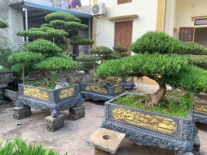 Dịch Vụ Vận Chuyển Tùng La Hán – An Giang Logistics: Giữ Trọn Thế Uy Nghi, Sang Trọng Từng Đường Nét