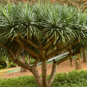 Dịch Vụ Vận Chuyển Phát Tài Núi – An Giang Logistics: Khởi Đầu Đại Lộc, Vận Chuyển Vững Vàng