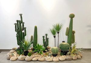 Dịch Vụ Vận Chuyển Xương Rồng Trụ – An Giang Logistics: Gai Góc Kiên Cường, Vận Chuyển Tận Tâm