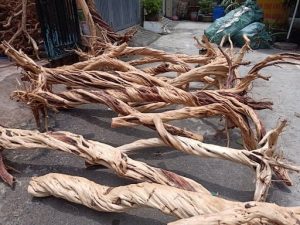 Vận Chuyển Gỗ Lũa Nghệ Thuật – An Giang Logistics: Giữ Nét Tự Nhiên, Không Gãy Nhánh Lũa