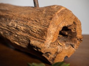 Vận Chuyển Gỗ Lũa Nghệ Thuật – An Giang Logistics: Giữ Nét Tự Nhiên, Không Gãy Nhánh Lũa