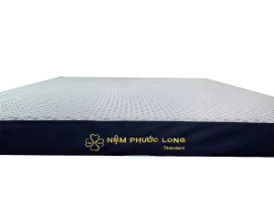 Vận Chuyển Nệm Cao Cấp – An Giang Logistics: Giữ Chuẩn Cấu Trúc, Sạch Khuẩn Tận Phòng