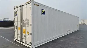 Container Lạnh Dùng Để Vận Chuyển Hàng Gì?