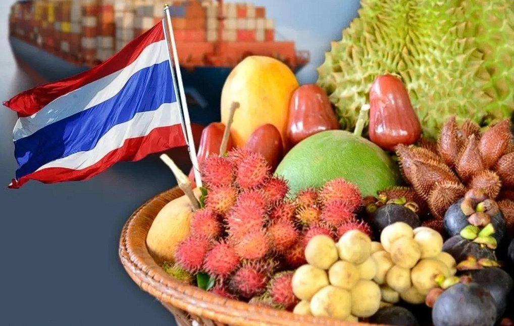 Xuất Nhập Khẩu Trái Cây Từ Thái Lan