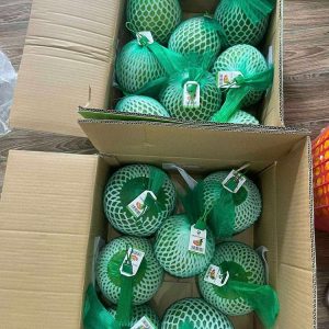 Vận Chuyển Bưởi Da Xanh Từ Miền Tây Đi Các Tỉnh Thành