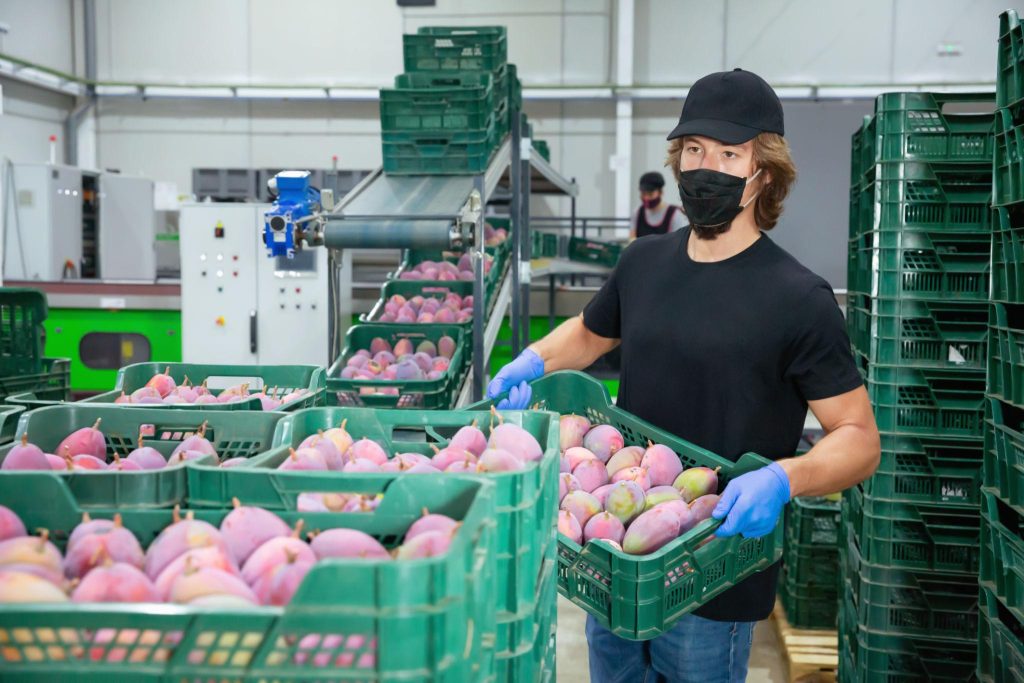 Hướng Dẫn Đóng Gói Trái Cây Đúng Chuẩn Logistics
