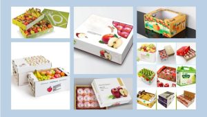 Những Lưu Ý Khi Đóng Gói Vận Chuyển Trái Cây
