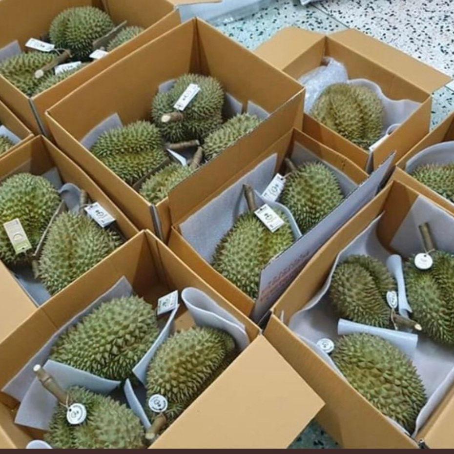 Vận Chuyển Hỏa Tốc Sầu Riêng Ra Hà Nội