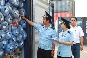 Các Mặt Hàng Bắt Buộc Phải Kiểm Dịch Trước Khi Xuất Khẩu Sang Nhật Bản