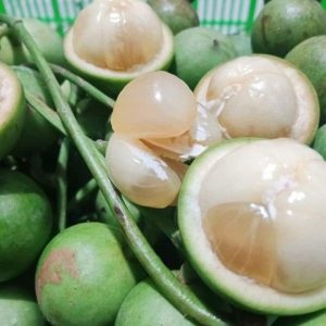 Mùa Dâu Xanh Miền Tây – Vận Chuyển Tươi Ngon Ra Các Tỉnh Miền Bắc
