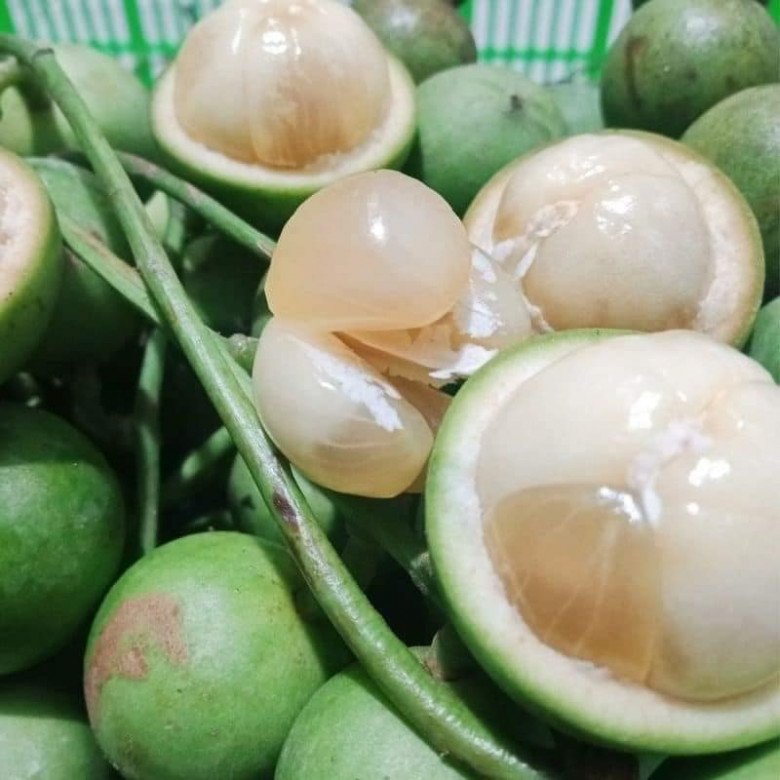 Mùa Dâu Xanh Miền Tây – Vận Chuyển Tươi Ngon Ra Các Tỉnh Miền Bắc
