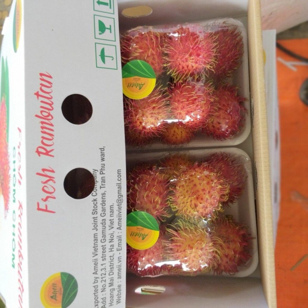 Vận Chuyển Chôm Chôm Nội Địa Việt Nam