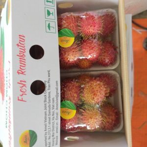 Vận Chuyển Chôm Chôm Nội Địa Việt Nam